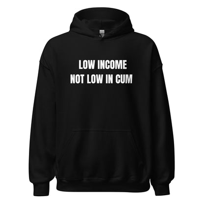 Low Income Hoodie