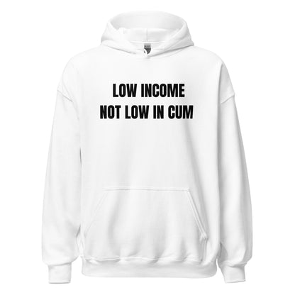 Low Income Hoodie