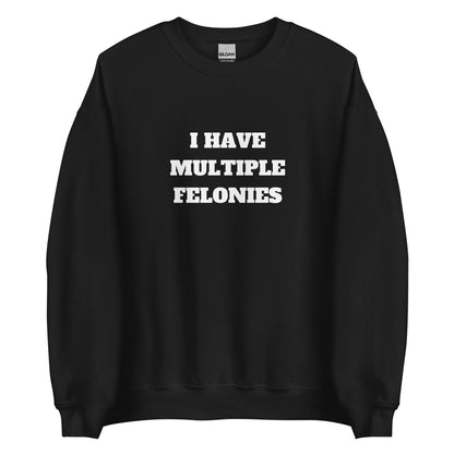 Multiple Felonies Sweatshirt