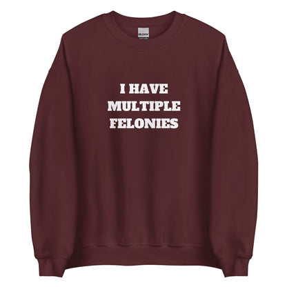 Multiple Felonies Sweatshirt