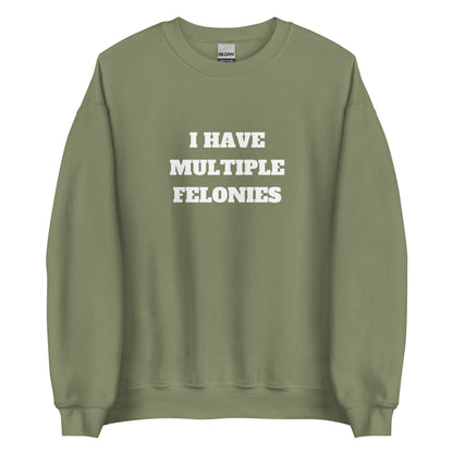 Multiple Felonies Sweatshirt