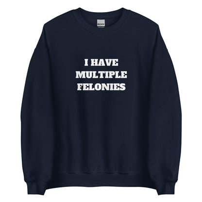 Multiple Felonies Sweatshirt