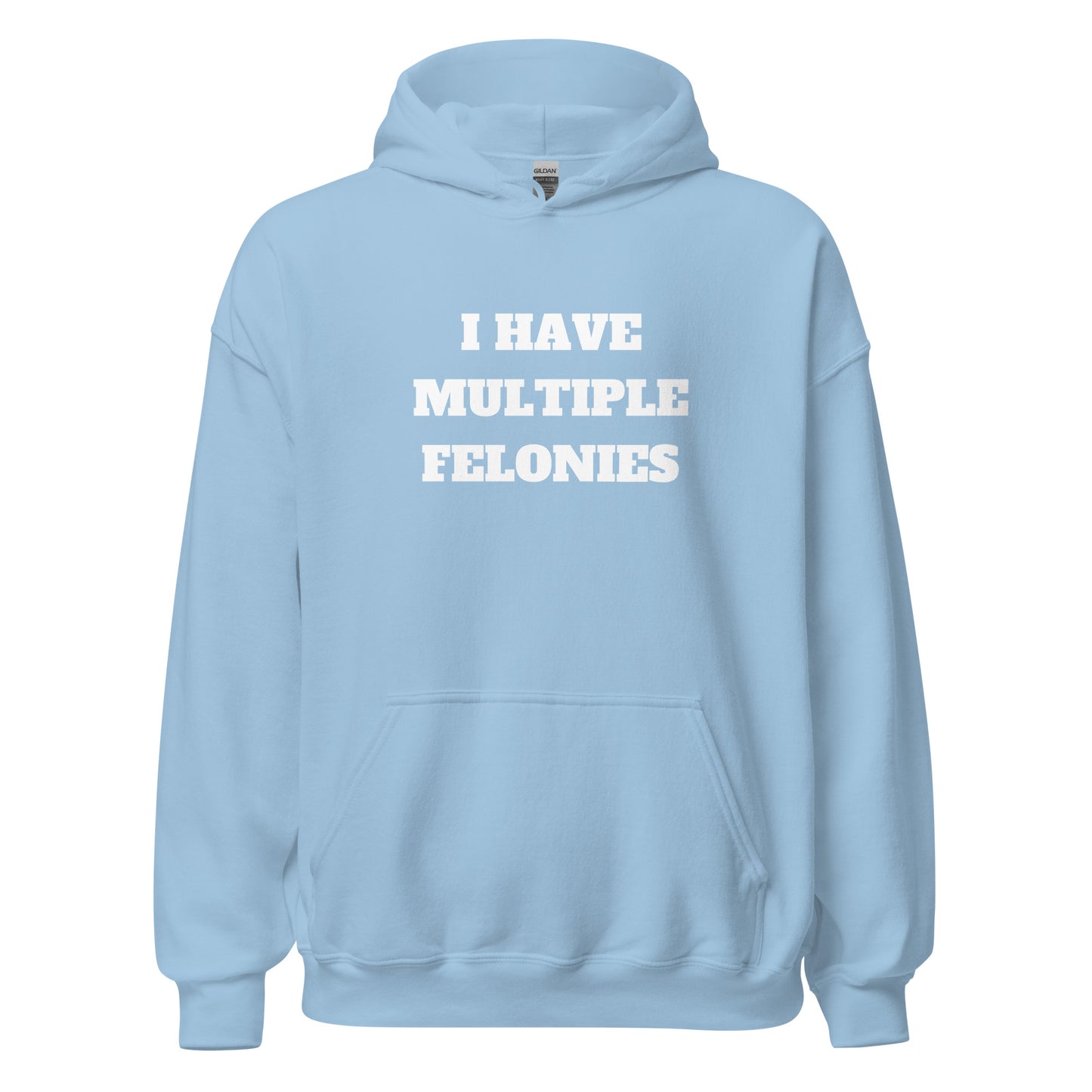 Multiple Felonies Hoodie