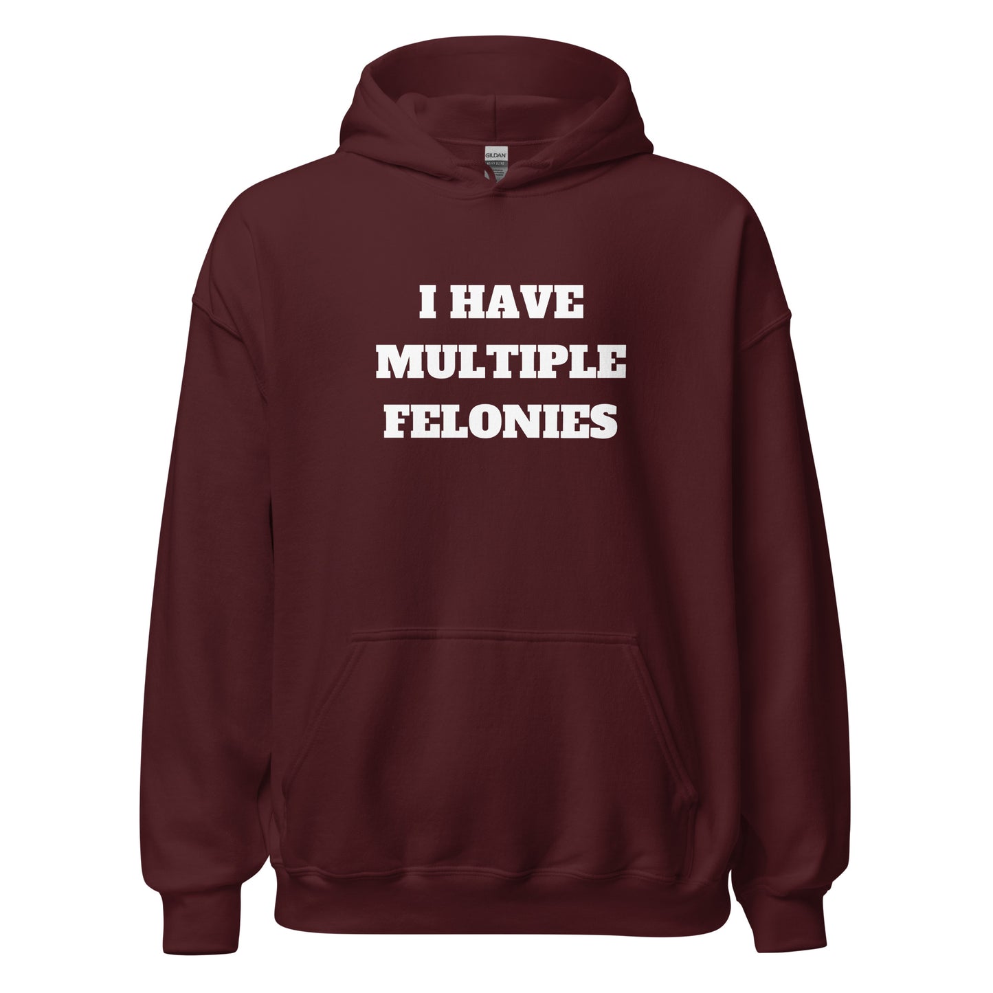 Multiple Felonies Hoodie