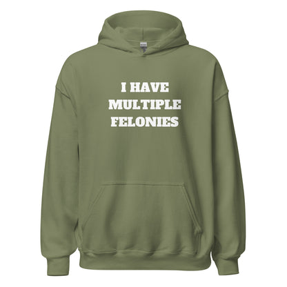 Multiple Felonies Hoodie