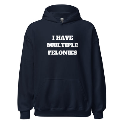 Multiple Felonies Hoodie